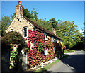 Clamber Cottage Autumn colours