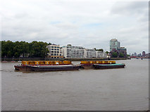 TQ2977 : River Thames, London SW8 by Christine Matthews