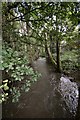 The view up stream on the River Caen from a bridge in Blackwell Wood