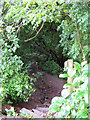 Footpath to Cornfield Road