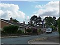 Bungalows in Macarthurs Close, Thirsk