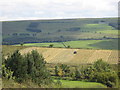 Farmland on Shawhead Hill (2)