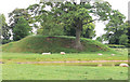 Shackerstone Motte and Bailey