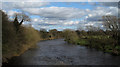 River Tees from Low Hail Bridge