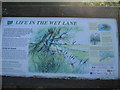 Life in the Wet Lane Information Board