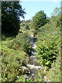 Nant Caeach flows near Nelson Road, Ystrad Mynach