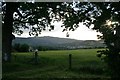 Barley field over Pitlochry