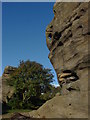 Brimham Rocks