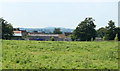 2010 : Pasture near Court Farm, West Woodlands