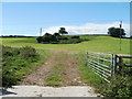 Field entrance, Bridge View Farm