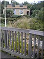 Pond bridge, Telegraph Hill Park SE14