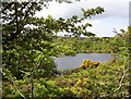 Duck Lough,  Castlewarren Road, Donemana