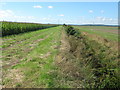 Footpath beside a drain to the A259 Folkestone Road