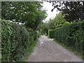 Bashley, footpath