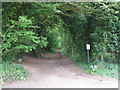 Bridleway to the West Woods