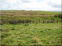 SO2187 : Grazing land on the Kerry Ridgeway by Philip Halling