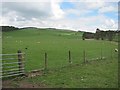 Grassland, Cormiston