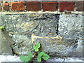 Benchmark on #83 Abingdon Road