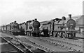 Derby Locomotive Depot: line-up of locomotives