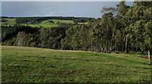 NZ0931 : Field descending to Black Hill Top Plantation by Trevor Littlewood