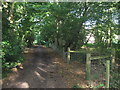 Footpath junction on byway in Great Turrels Wood