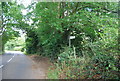 Footpath off Halstead Lane