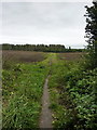 Footpath off Casey Lane