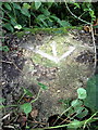 Benchmark on culvert top on Bates Leys Farm