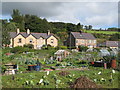 Allotments, Station Road