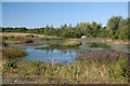 Lake on the Northern Wetlands - Parc Slip Nature Park