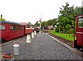 N0590 : Cavan & Leitrim Railway, near Dromod/Dromad by L S Wilson