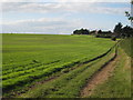 Field off Woodchurch Road