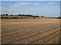 Harvested Field off Shottendane Road