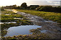 Puddly track approaching Birchinley Farm