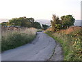 Minor road leading to Nelson