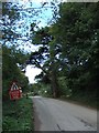 Road at Stoneycombe