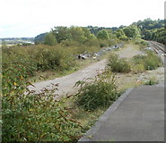 ST5393 : Track bed and fenced-off storage area, Chepstow railway station by Jaggery