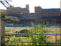 Rear of the British Library