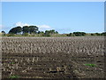 Farmland near Newton of Foulzie