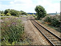 Tracks separate around island platform, Grangetown, Cardiff