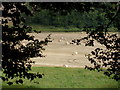 Farmland near Todlaw Wood