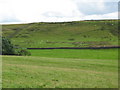 Farmland south of Hallpeat Moss (2)