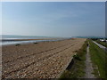 Sea wall and the beach at Winchelsea Beach