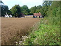 Footpath by Barnbridge House