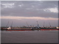 Ships at Immingham Bulk Terminal