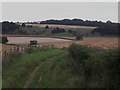 Byway approaching small barn in valley