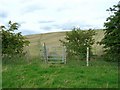 Footpath up Oxhill Hill