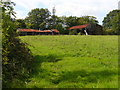 Barns on Rowhook Hill