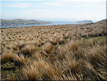 NR7118 : View from Beinn Ghuilean Plantation by Derek Tootill