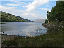 NN1788 : Eastern end of Loch Arkaig by Dave Spicer
